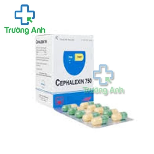 Cephalexin 750mg Pymepharco - Thuốc điều trị nhiễm khuẩn